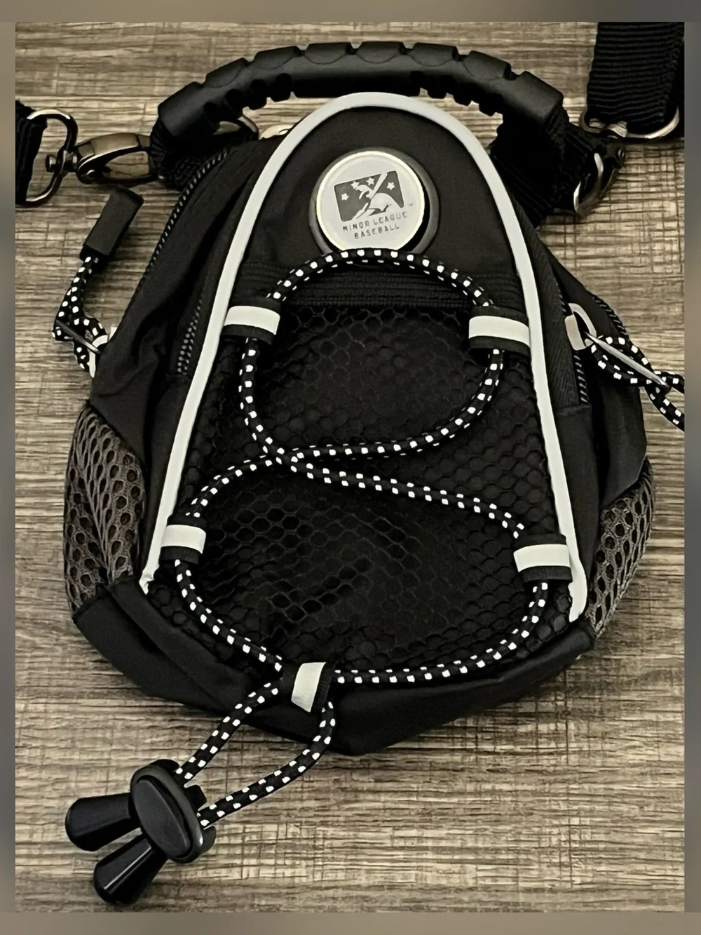 Minor League Baseball Mini Day Pack
